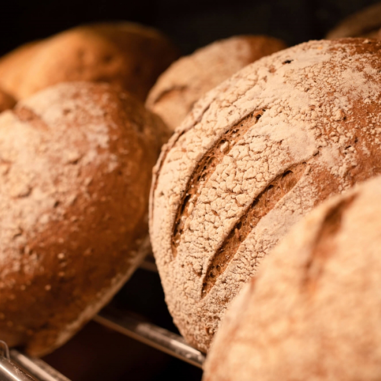 Brood in allerlei vormen en smaken; boerenbrood, keizersbrood, klein broodje, rond brood, bakje, groot brood, wit brood, maia broodje,...